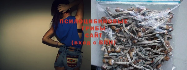 гашик Новокубанск