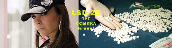 apvp Новодвинск