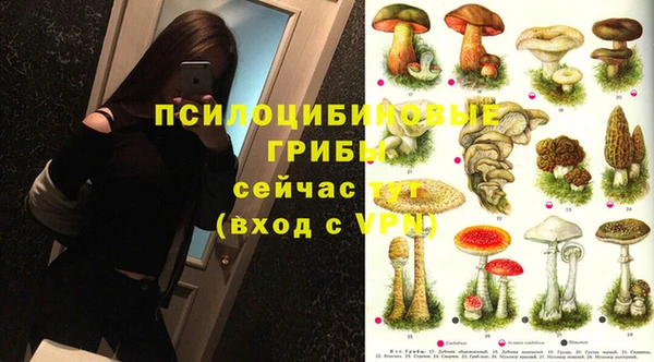 трава Абаза