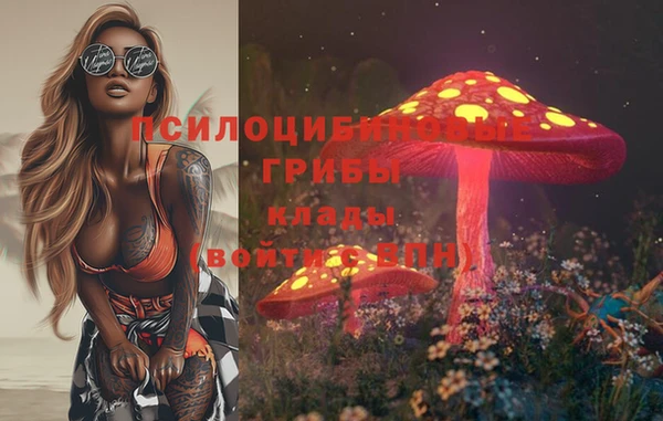 гашик Новокубанск