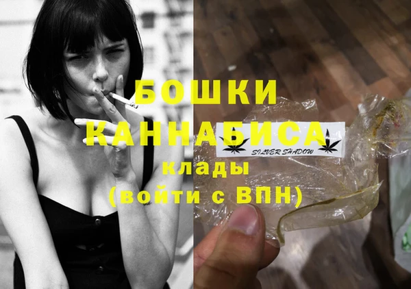гашик Новокубанск