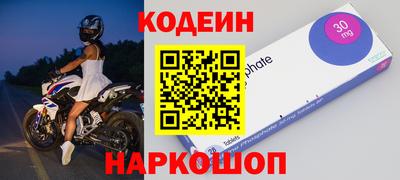 СК Кингисепп