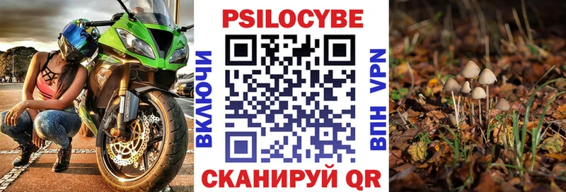 Галлюциногенные грибы GOLDEN TEACHER  продажа наркотиков  Ипатово 