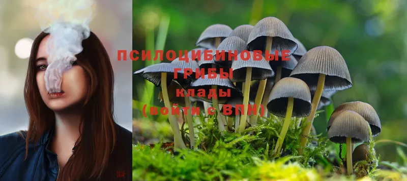 Псилоцибиновые грибы Magic Shrooms  что такое   Ипатово 