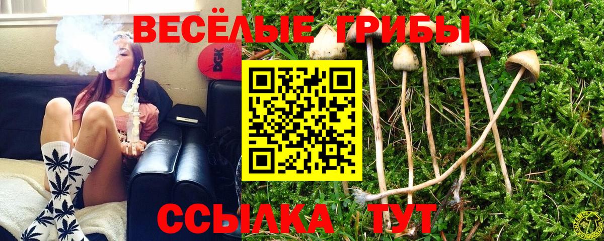 Псилоцибиновые грибы ЛСД Ипатово
