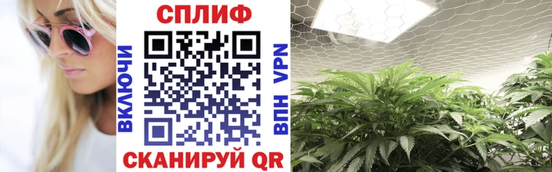 блэк спрут ТОР  Ипатово  Конопля SATIVA & INDICA 
